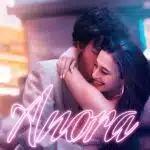 Free Anora (2024) (Hindi + English) Dual Audio Hollywood Movie HD ESub