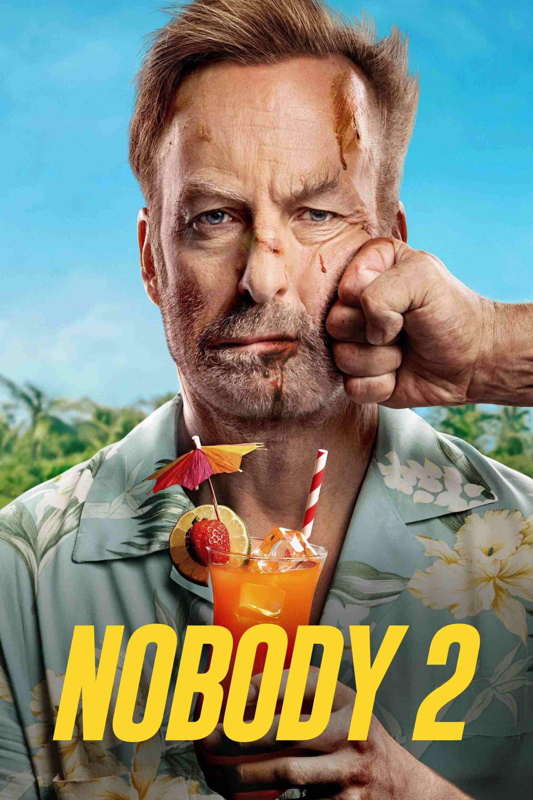 Free Nobody 2 (2015) (Hindi + English) Dual Audio Hollywood Movie HD ESub