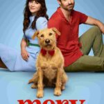 Free Merv (2025) (Hindi + English) Dual Audio Hollywood Movie HD ESub